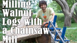 Milling Walnut Logs with a Chainsaw Mill