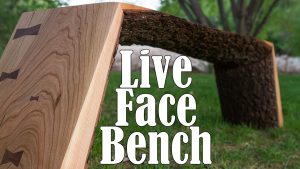Live Face Bench